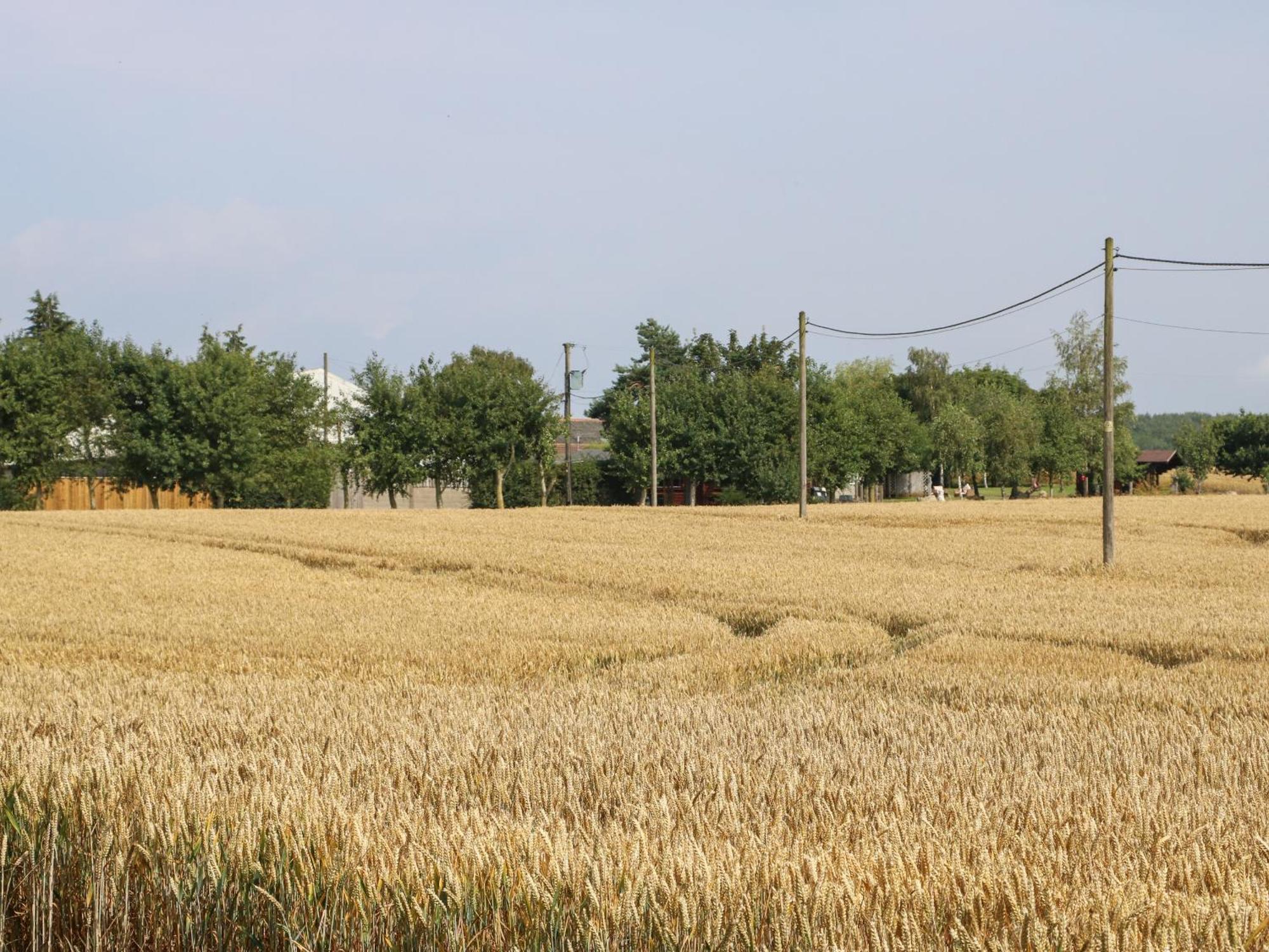Cornfield Villa Northallerton Exterior foto